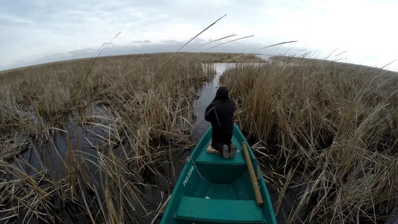 Отчет от Миши aka Balamut_1, 18.03.2015