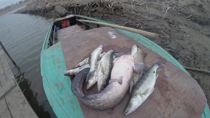 Отчет от Andrei, 10.04.2015