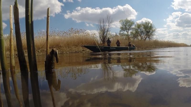 Отчет от Марины (zavuch), 21.04.2015