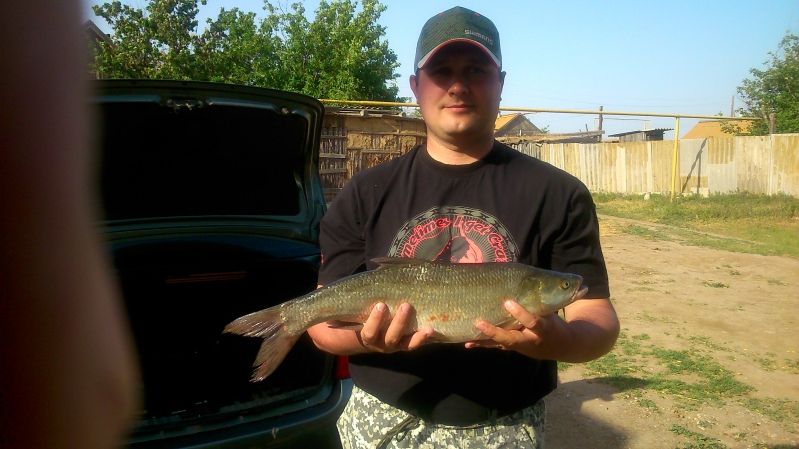 Отчет от dima712198, 01.06.2015