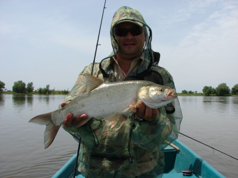 Отчет от RSM36, 10.06.2015