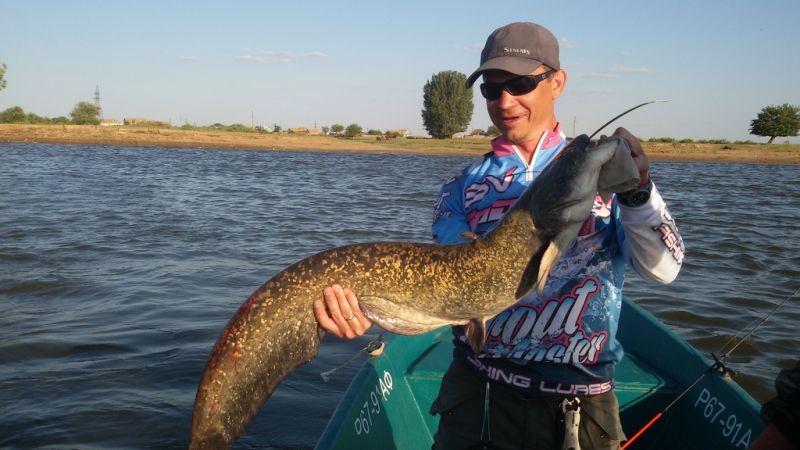 Отчет от AVGust, 13.06.2015