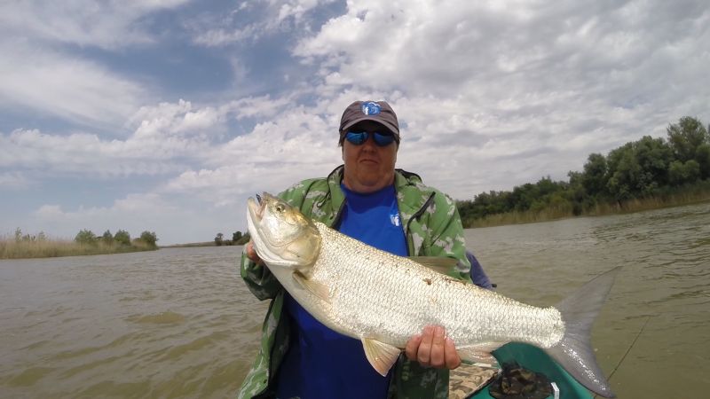 Отчет от Andrei, 20.06.2015