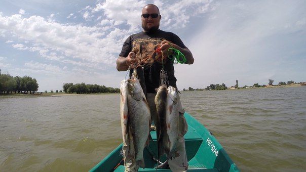 Отчет от Andrei, 25.06.2015