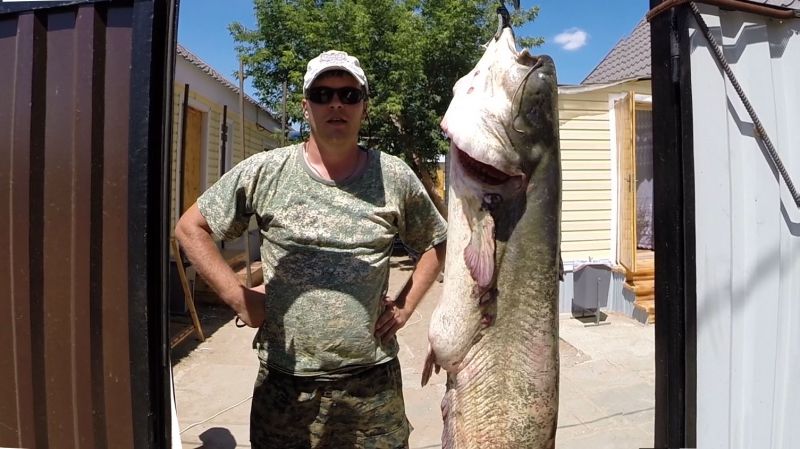 Отчет от Andrei, 02.07.2015