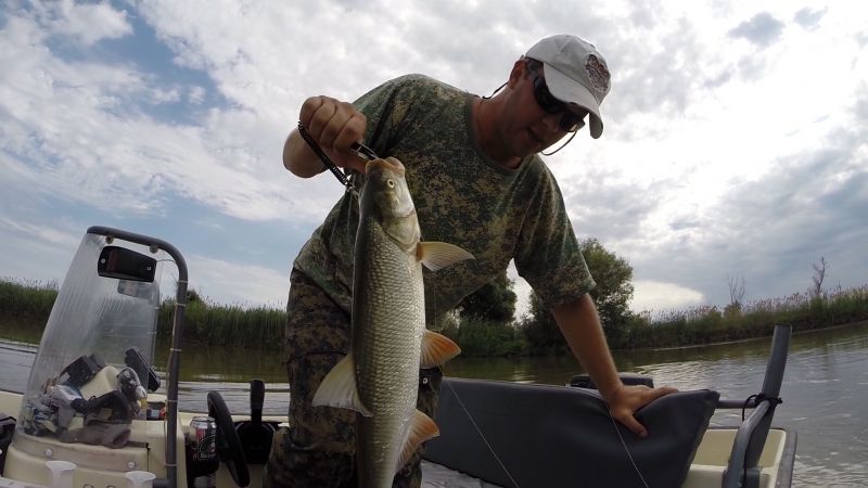 Отчет от Andrei, 03.07.2015