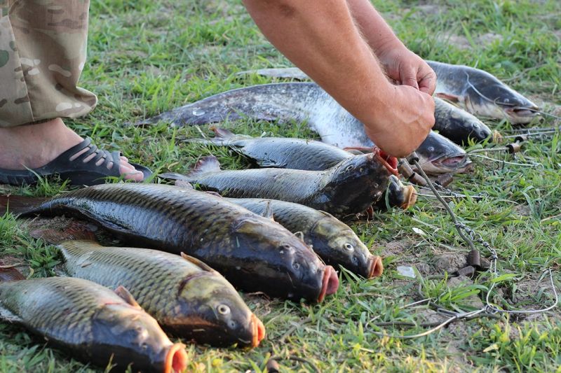 Отчет от Andrei, 29.07.2015