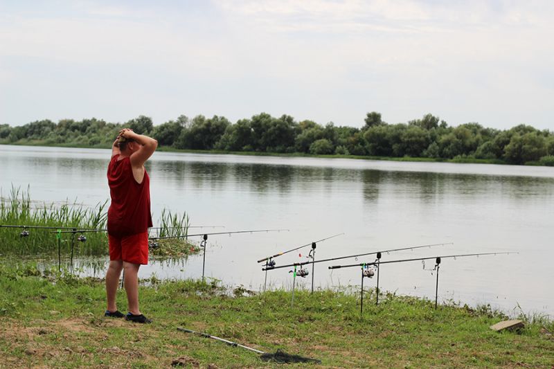 Отчет от Andrei, 02.08.2015