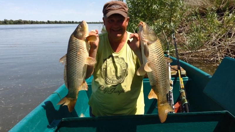 Отчет от Михаила (Balamut 1), 06.08.2015