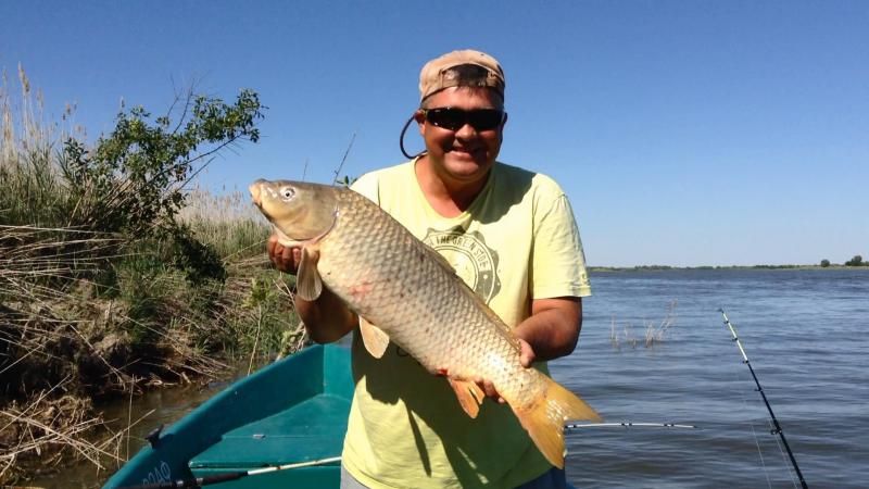 Отчет от Михаила (Balamut 1), 08.08.2015