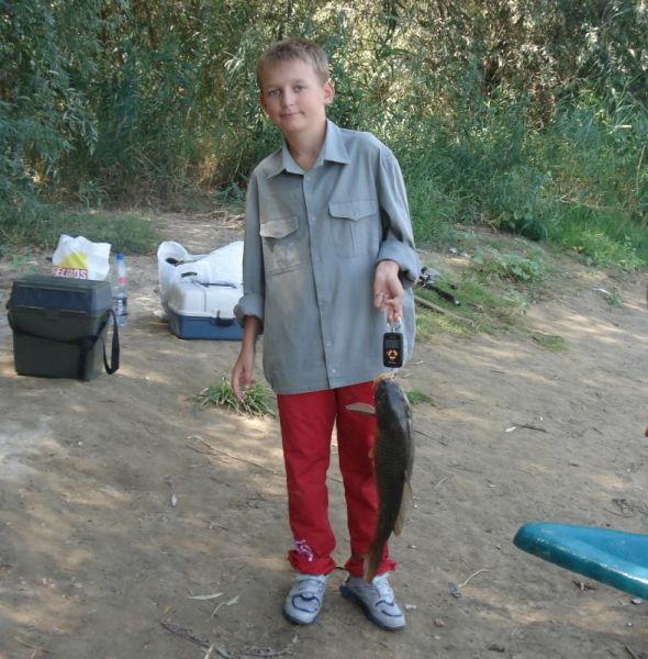 Отчет от TVR, 22.08.2015