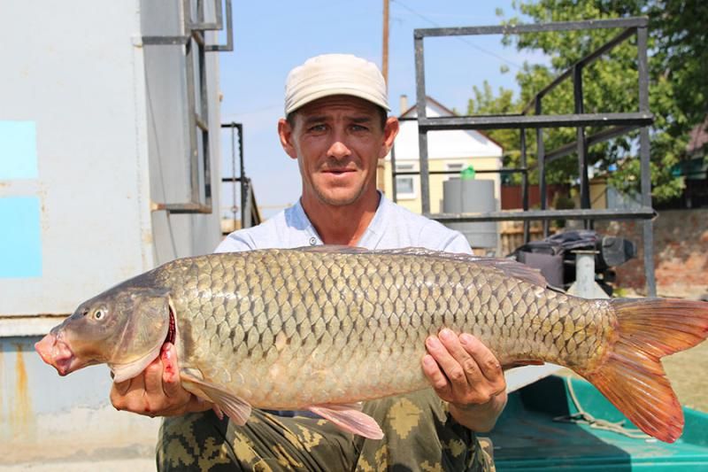 Отчет от Andrei, 10.09.2015