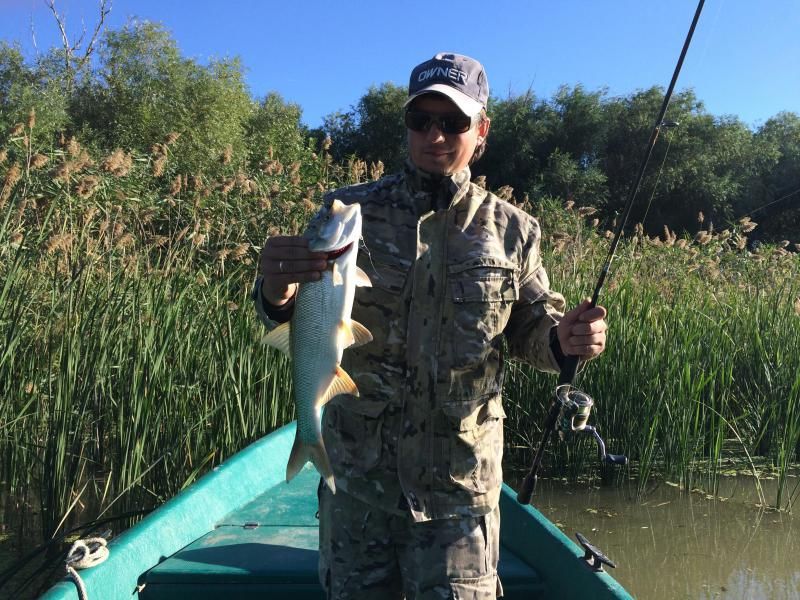 Отчет от Виталия М., 13.09.2015