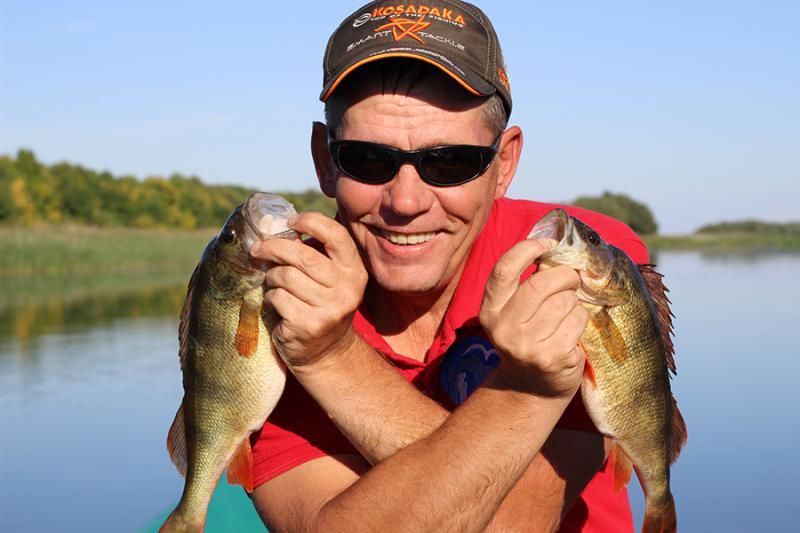 Отчет от Марины (zavuch), 19.09.2015