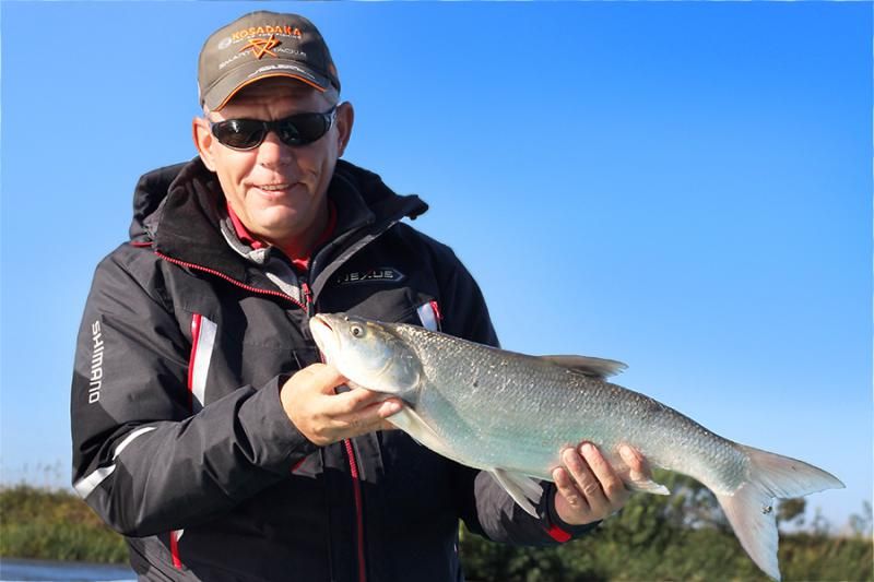 Отчет от Andrei, 22.09.2015