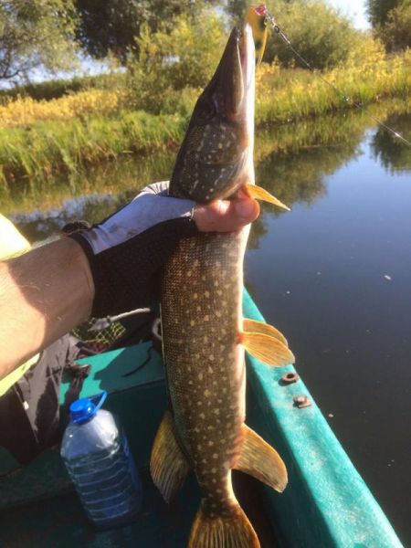 Отчет от Армейца. 23.09.2015