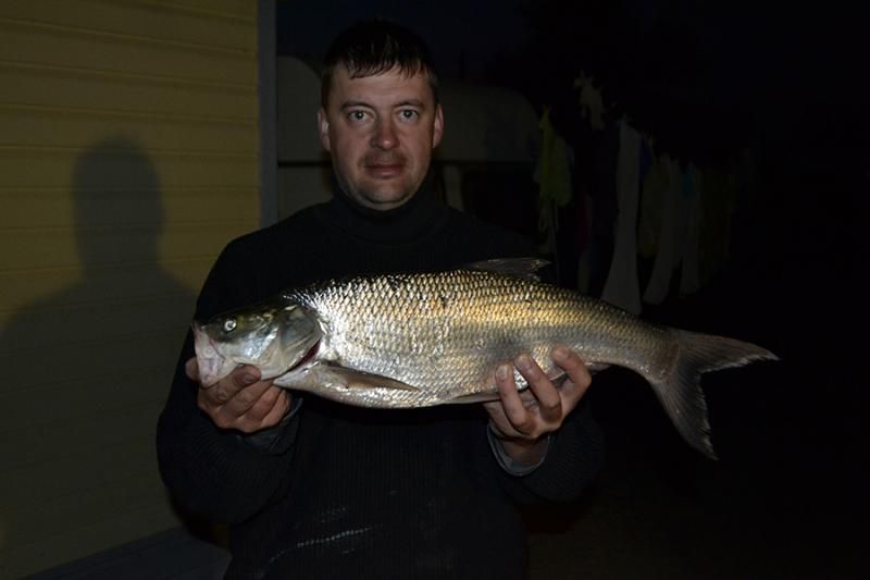 Отчет от Andrei, 01.10.2015