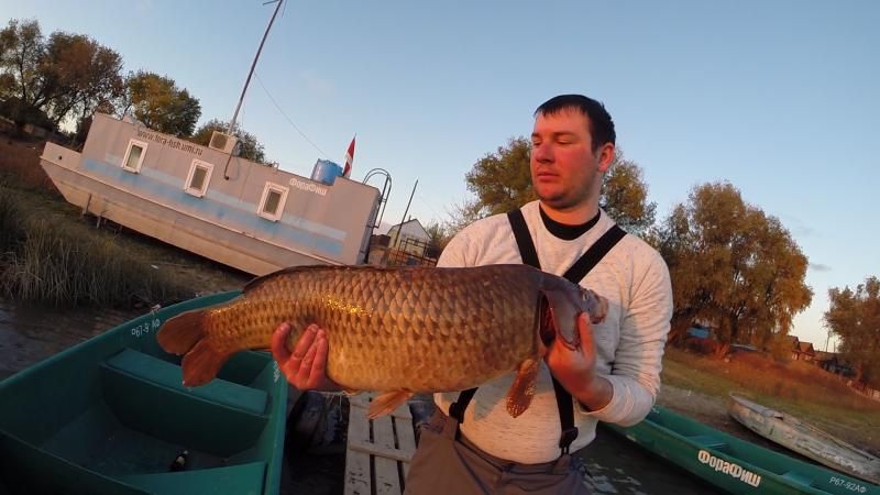 Отчет от Andrei, 16.10.2015