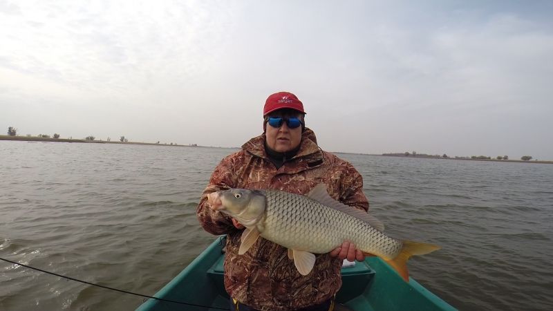 Отчет от Andrei, 03.11.2015