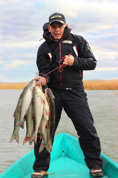 Отчет от Andrei, 04.11.2015