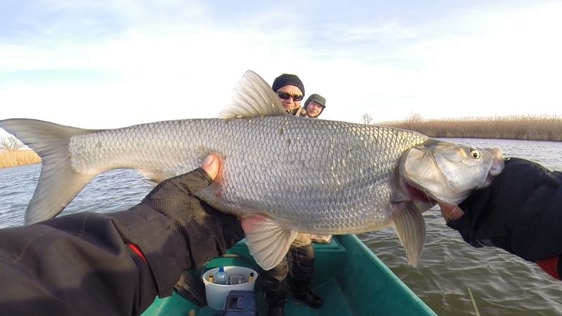 Отчет от Andrei, 10.11.2015