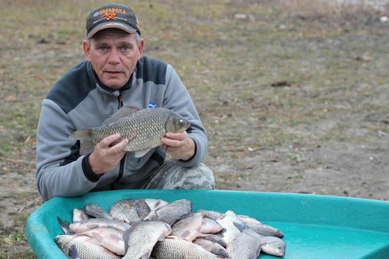 Отчет от Andrei, 14.11.2015