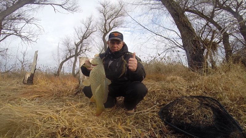 Отчет от Andrei, 20.11.2015