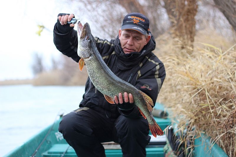 Отчет от Andrei, 21.11.2015