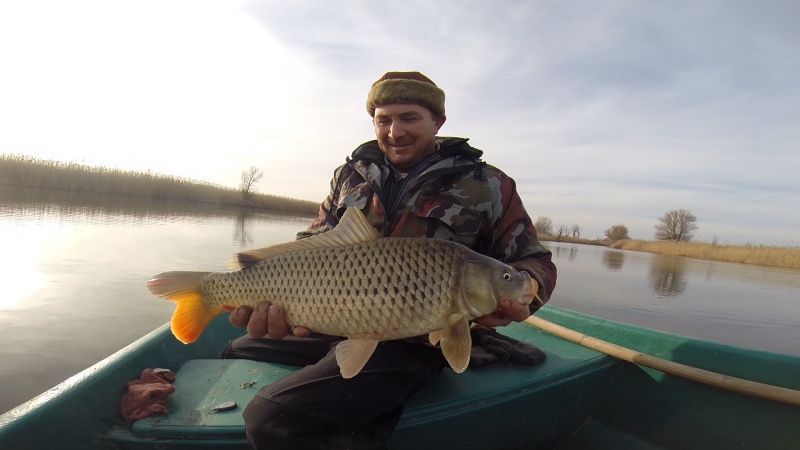 Отчет от Andrei, 24.11.2015