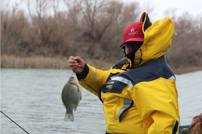 Отчет от Andrei, 05.12.2015