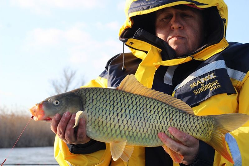 Отчет от Andrei, 07.12.2015