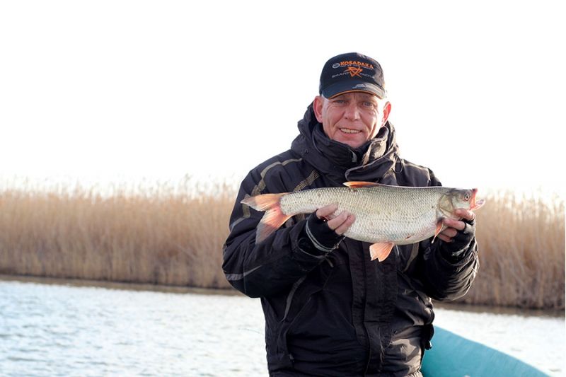 Отчет от Andrei, 11.12.2015