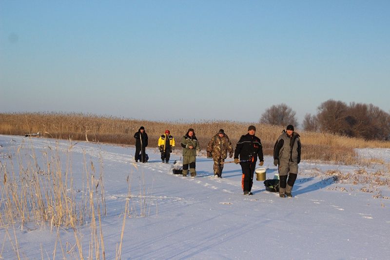 Отчет от Andrei, 04.01.2016