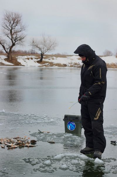 Отчет от Andrei, 12.01.2016