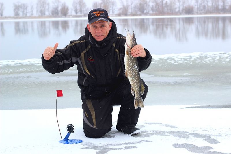 Отчет от Andrei, 24.01.2016