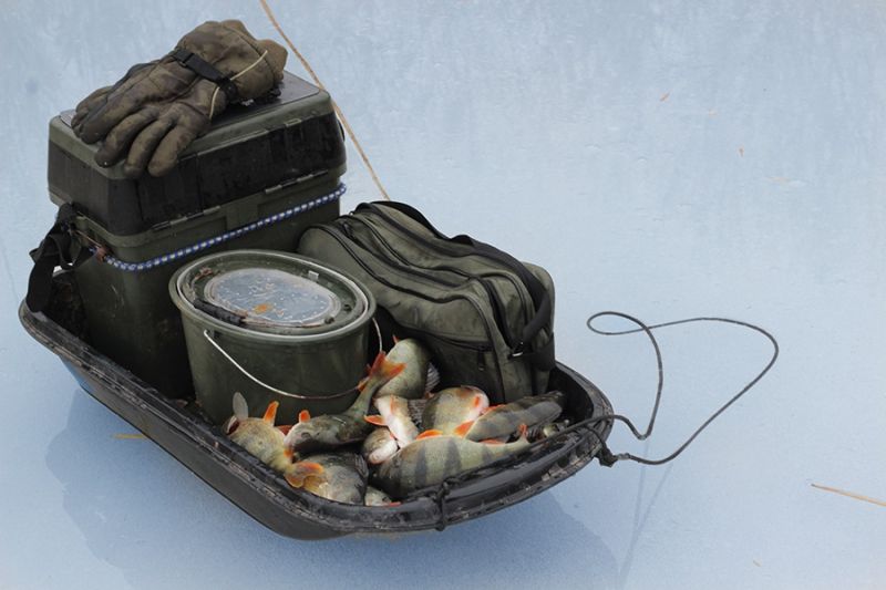 Отчет от Andrei, 01.02.2016