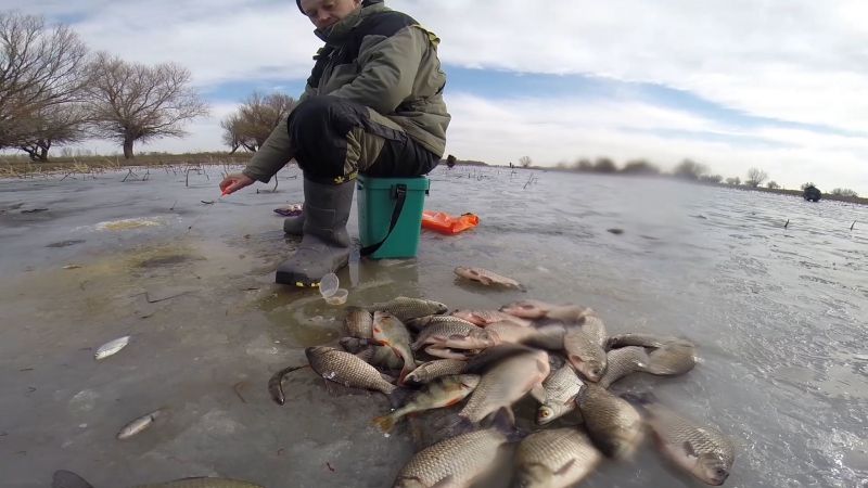 Отчет от Andrei, 16.02.2016