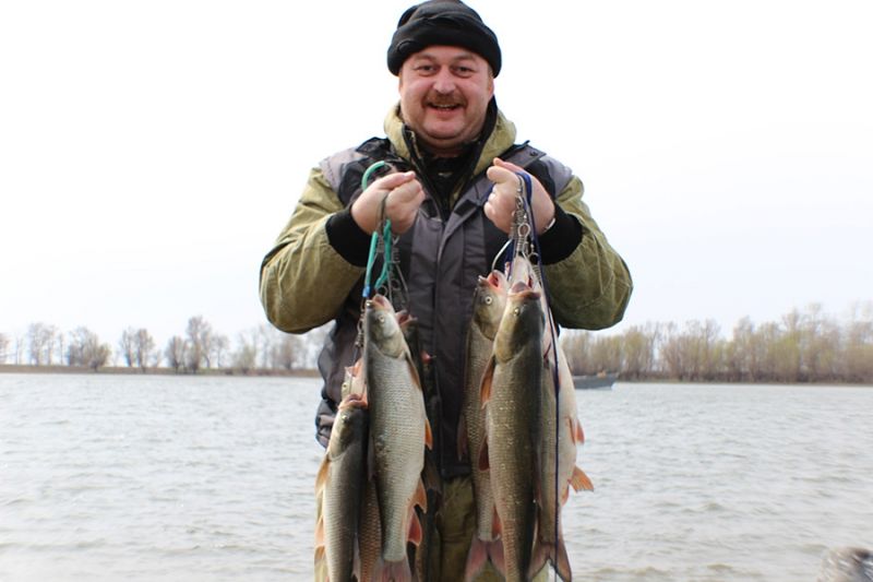 Отчет от Andrei, 10.04.2016