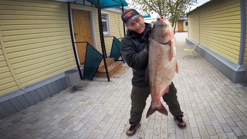 Отчет от Andrei, 17.04.2016