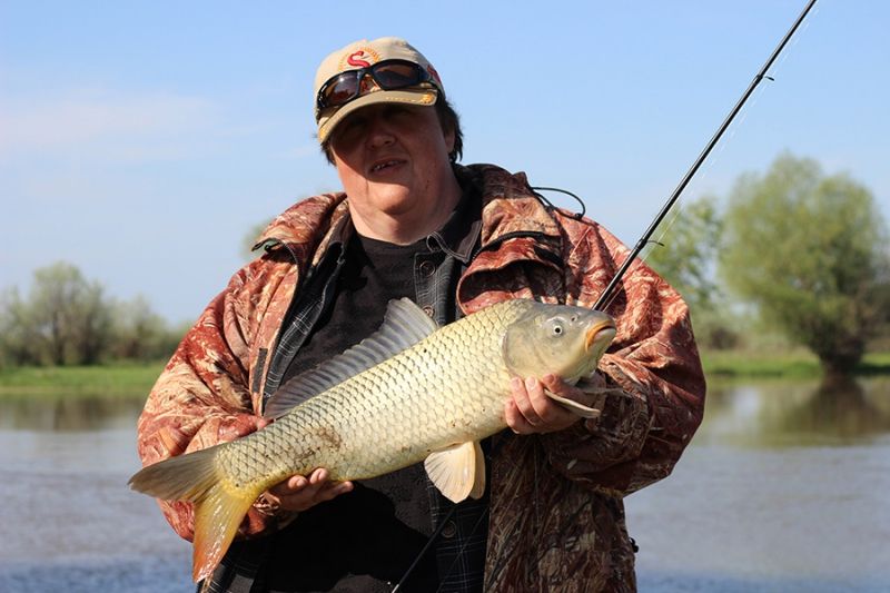 Отчет от Andrei, 04.05.2016