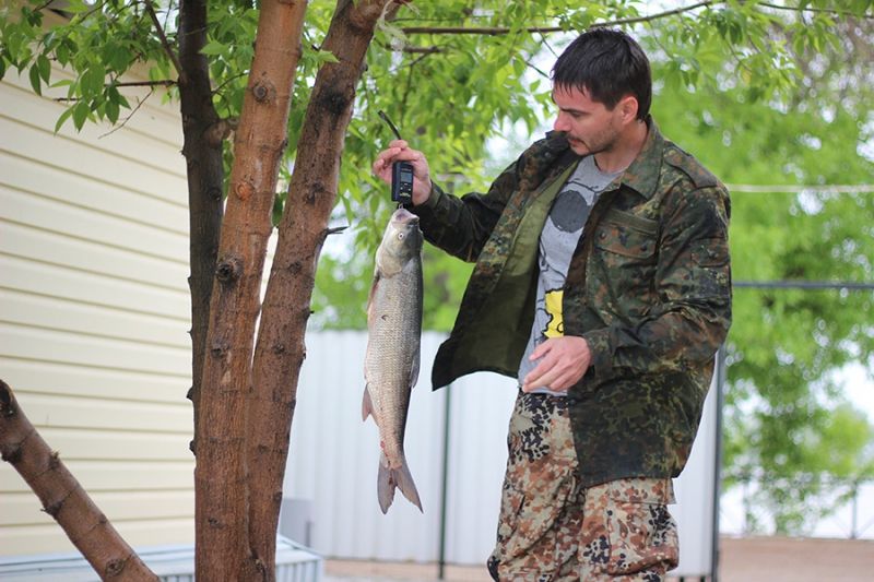 Отчет от Andrei, 06.05.2016