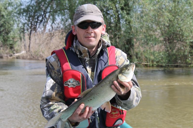 Отчет от RSM36, 07.05.2016