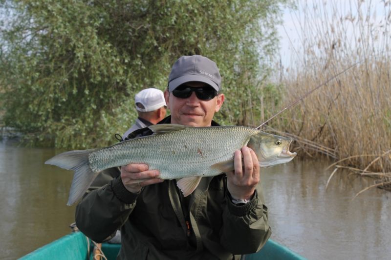 Отчет от RSM36, 09.05.2016