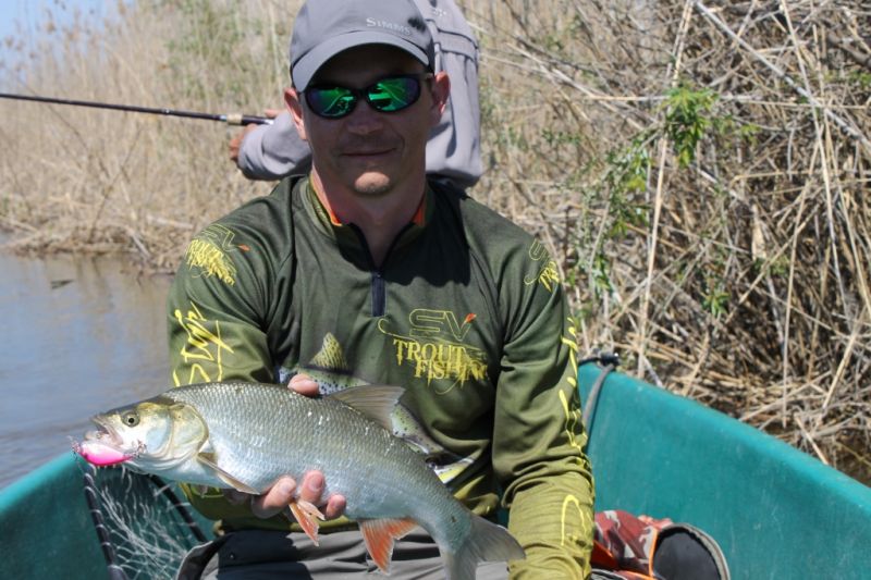 Отчет от RSM36, 10.05.2016