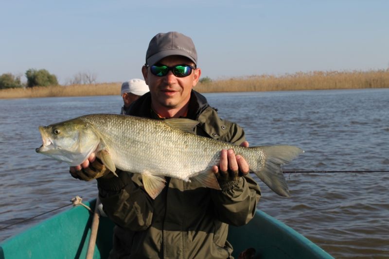 Отчет от RSM36, 11.05.2016