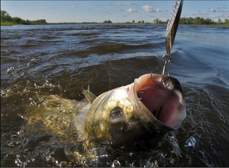 Отчет от Andrei, 20.06.2016