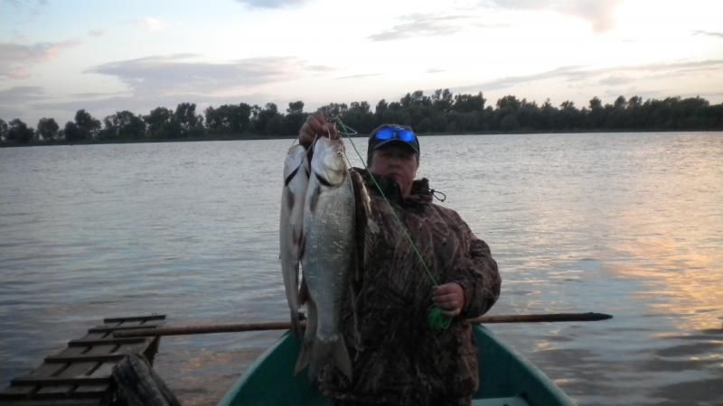 Отчет от zavuch, 13.09.2014