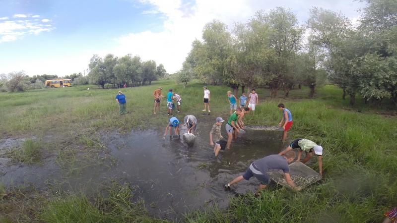 Отчет  от Марины(zavuch), 06.07.2016
