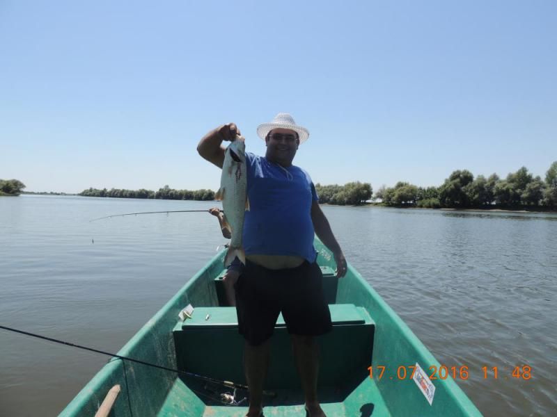  Отчет от Игоря ака idj, 20.07.2016