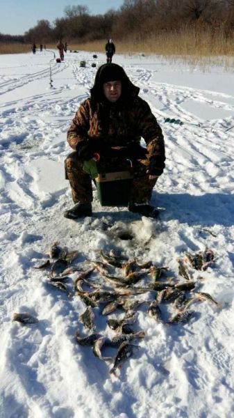 Отчет от 08.02.2017